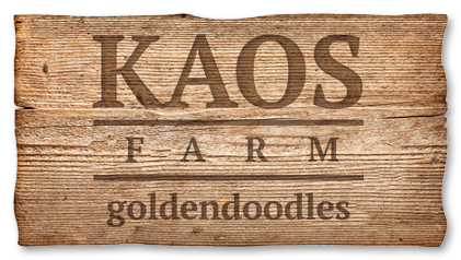 Kaos Logo